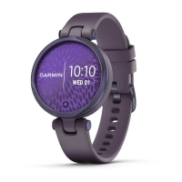 Garmin Lily™ - Sport Edition 010-02384-12 от прозводителя Garmin