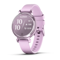 Garmin Lily 2 Metallic Lilac с сиреневым силиконовым ремешком [010-02839-01] 010-02839-01 от прозводителя Garmin