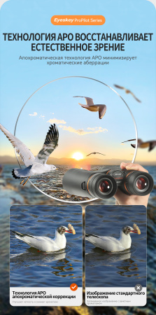 Бинокль Eyeskey ProPilot APO EB - 10x42 EyeS-B118APO от прозводителя Eyeskey