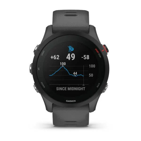 Garmin Forerunner 255 - 46 мм | Slate Gray