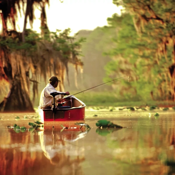 Endura C2 50 lb. Thrust, 42" Shaft, Battery Meter 1352278 от прозводителя Minn Kota