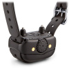 BARK LIMITER DELUXE EU (Dog Device)