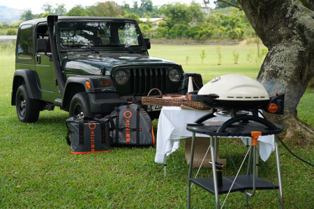 Сумка-холодильник O-GRILL, 25L COOLER_BAG от прозводителя O-GRILL