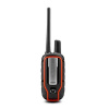 Garmin Alpha 100 / TT15 RU