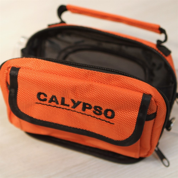 CALYPSO UVS-03 Plus с записью FDV-1113 от прозводителя CALYPSO CALYPSO UVS-03 Plus с записью FDV-1113 от прозводителя CALYPSO